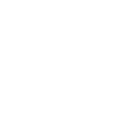 Zodiac Sign Sagittarius