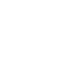 Zodiac Sign Aries