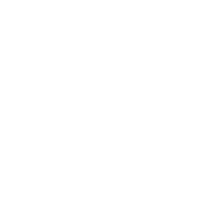 Zodiac Sign Gemini