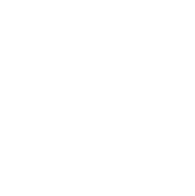 Zodiac Sign Leo