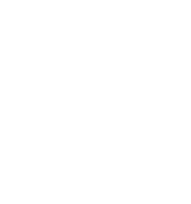Zodiac Sign Virgo
